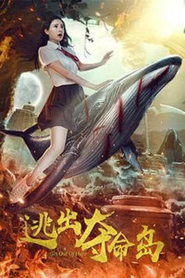 打扑克高清视频