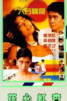 99vv1com这只有精品