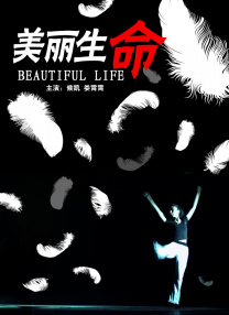 午夜精品国产精品大乳美女