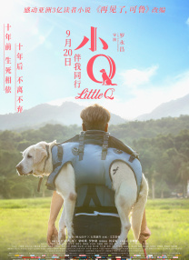免费的成人a视频在线观看